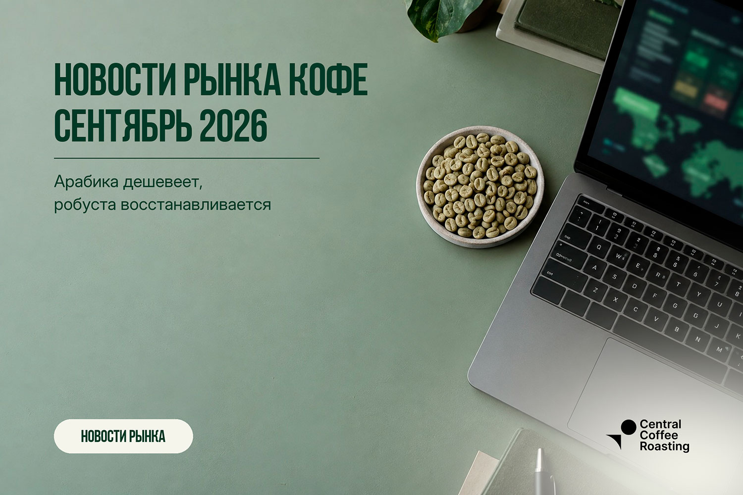Рынок кофе: 37 неделя 2026 | Green Coffee Hub
