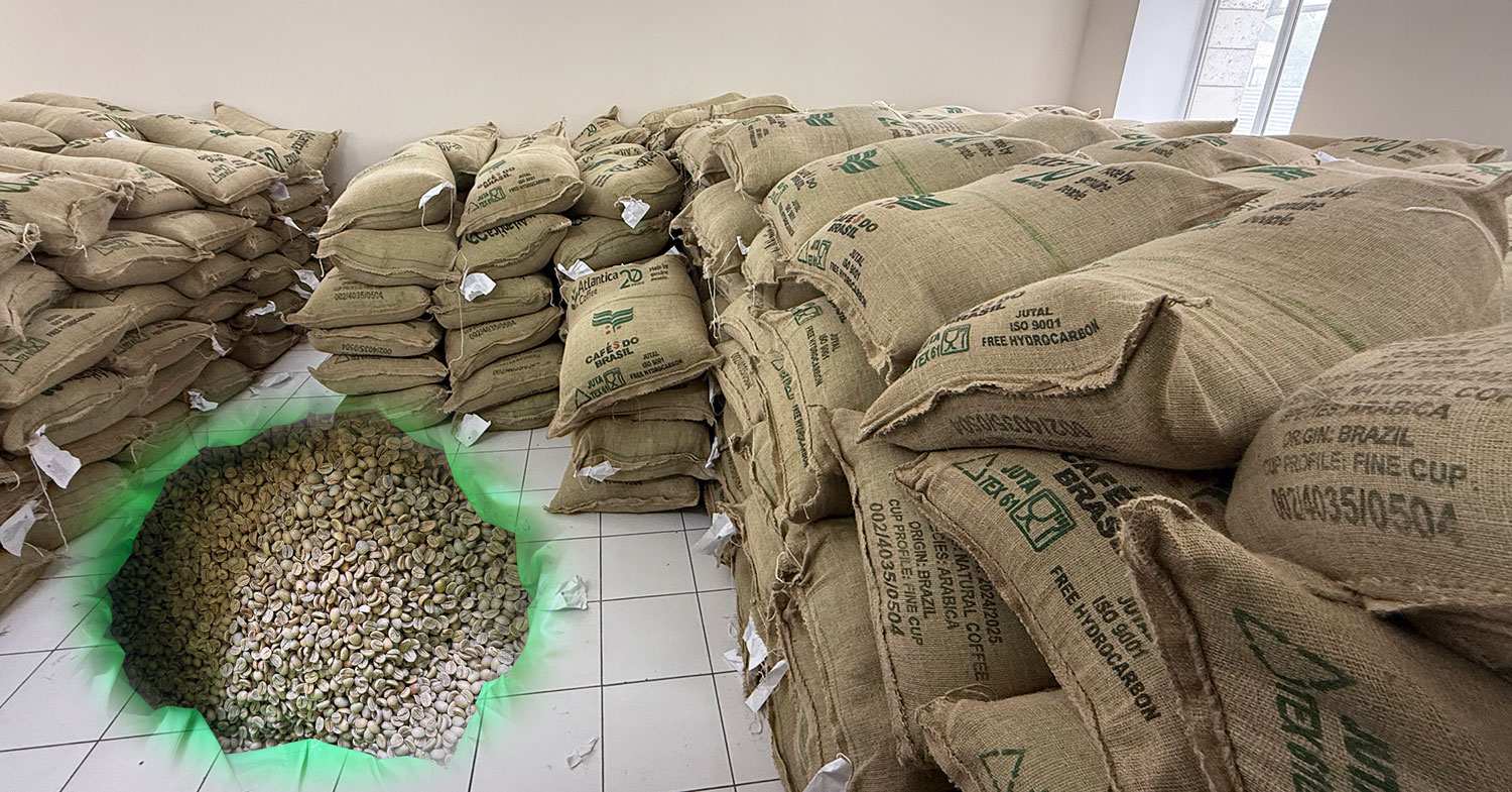 Brazilian Arabica Coffee in Stock in Tashkent – Green Beans for Roasters and Private Labels