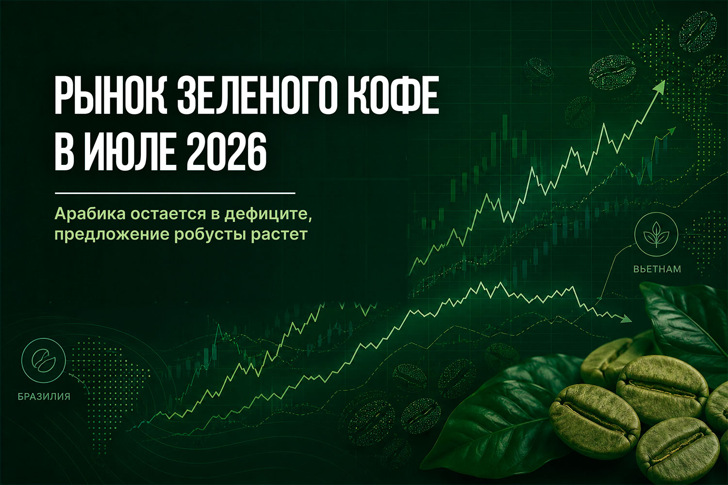 Рынок кофе в июле 2026: арабика и робуста | Green Coffee Hub