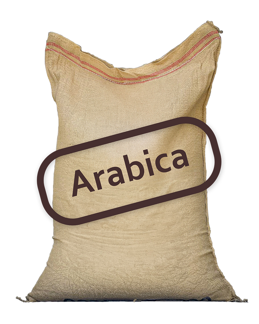 Ethiopia Acacia washed